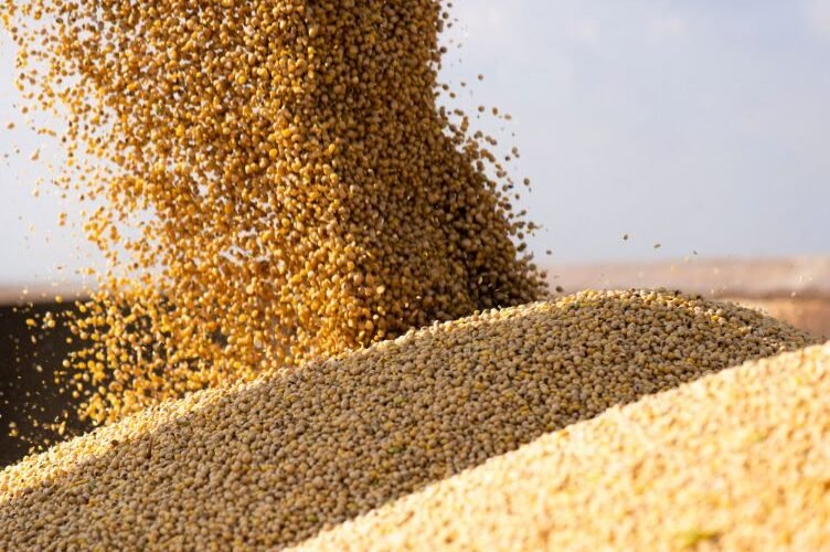 Complejo sojero generó US$ 4.264 millones hasta setiembre, un 38,5% más