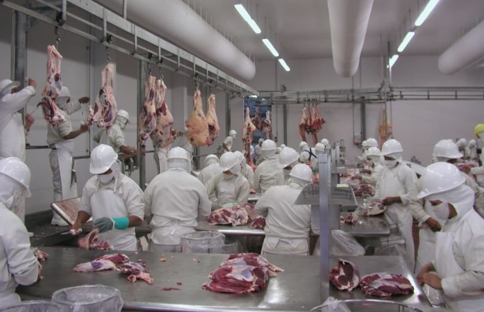 Appec proyecta mayores ventas de carne a Israel y destaca el valor de los cortes kosher