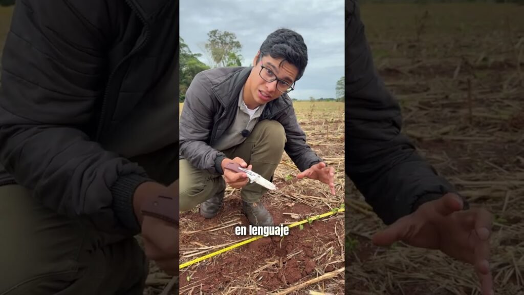 Video: Explicamos cómo las lluvias intensas provocan el sellado y encostramiento del suelo,