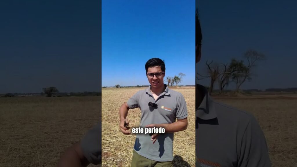 Video: