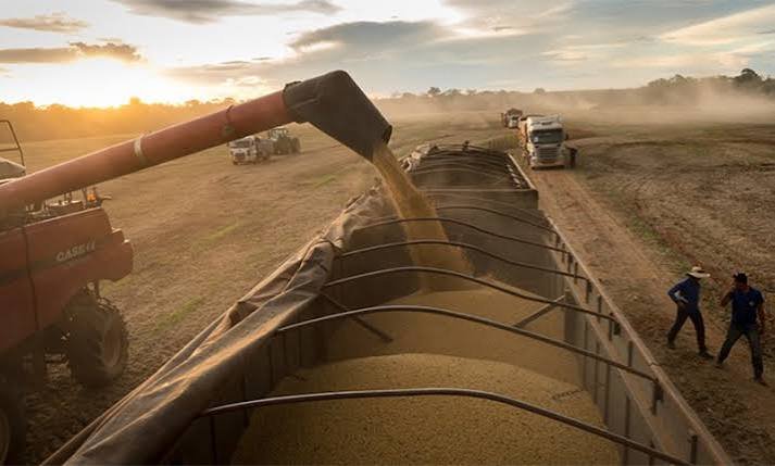 Exportación de soja iguala el récord de 2024 con 7,9 millones de toneladas y apunta a superarlo